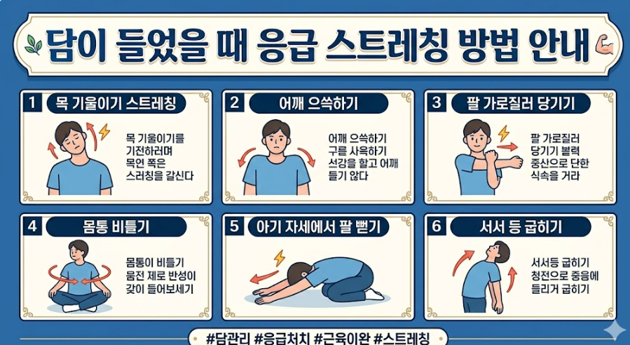 담이 들었을 때 응급 스트레칭 방법 안내